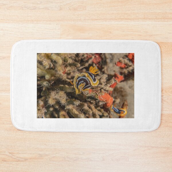 Item preview, Sea slug in the Red Sea Colorful and beautiful, Eilat Israel designed and sold by yeshayad.
