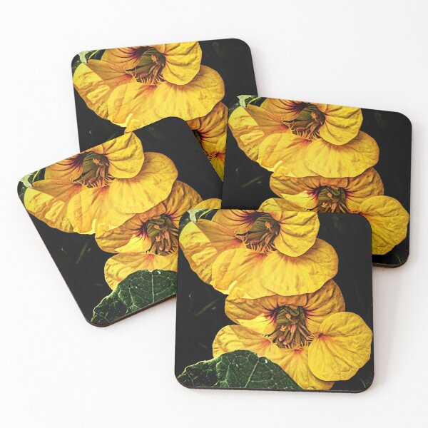 Item preview, Shy Nasturtium designed and sold by Weston  Westmoreland.