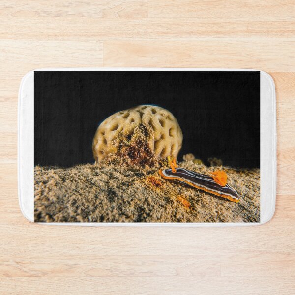 Item preview, Sea slug in the Red Sea Colorful and beautiful, Eilat Israel designed and sold by yeshayad.