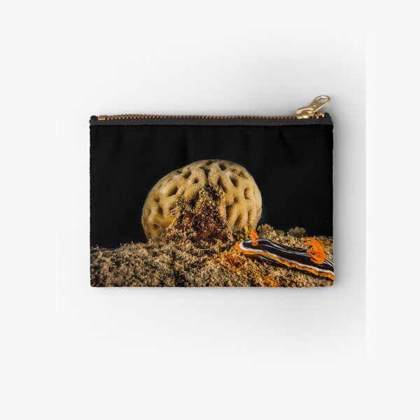 Item preview, Sea slug in the Red Sea Colorful and beautiful, Eilat Israel designed and sold by yeshayad.