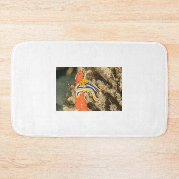 Item preview, Sea slug in the Red Sea Colorful and beautiful, Eilat Israel designed and sold by yeshayad.