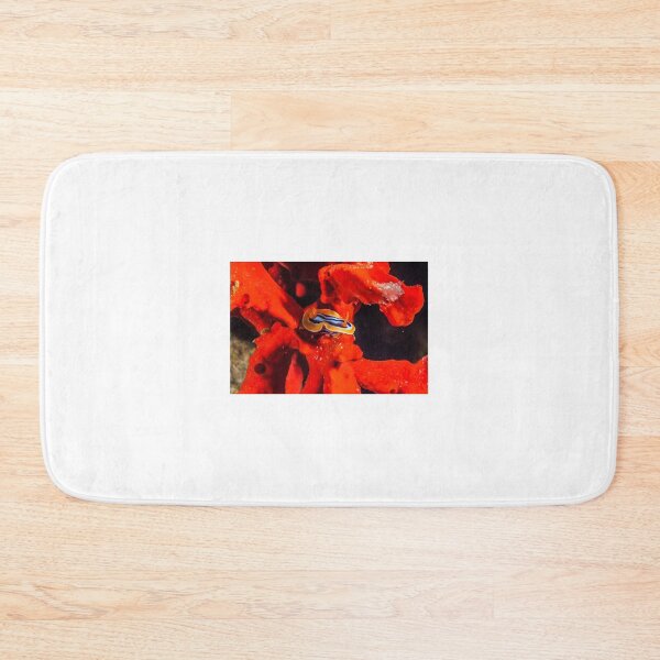 Item preview, Sea slug in the Red Sea Colorful and beautiful, Eilat Israel designed and sold by yeshayad.