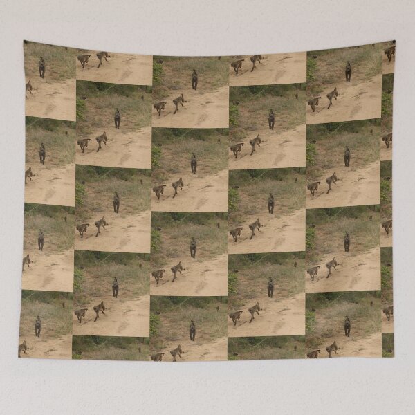 Item preview, Nature, animals, Africa, South Africa, Kruger NP, baboons, photography, BebiCervin designed and sold by BebiCervin.
