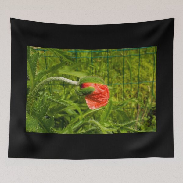 Item preview, Giant Red Poppy Bud  designed and sold by jojobob.
