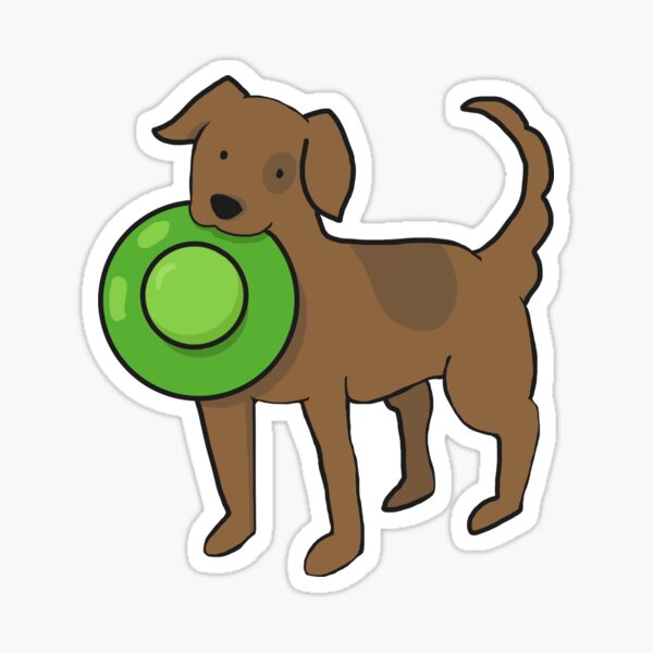 Dog Getting Hit By Frisbee Heck