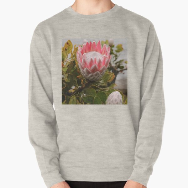 Nature, Afrique, Afrique du Sud, Fleur, Proteas, gouttes de pluie, rose, Photographie, BebiCervin Sweatshirt épais
