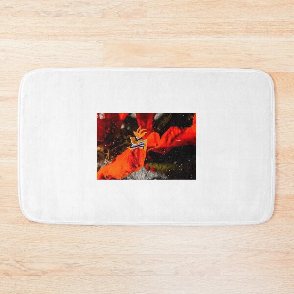 Item preview, Sea slug in the Red Sea Colorful and beautiful, Eilat Israel designed and sold by yeshayad.