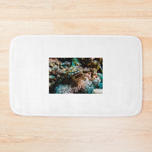 Item preview, Sea slug in the Red Sea Colorful and beautiful, Eilat Israel designed and sold by yeshayad.