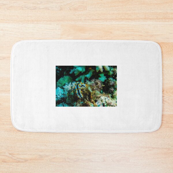 Item preview, Sea slug in the Red Sea Colorful and beautiful, Eilat Israel designed and sold by yeshayad.