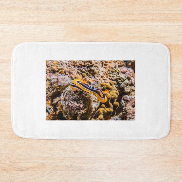 Item preview, Sea slug in the Red Sea Colorful and beautiful, Eilat Israel designed and sold by yeshayad.