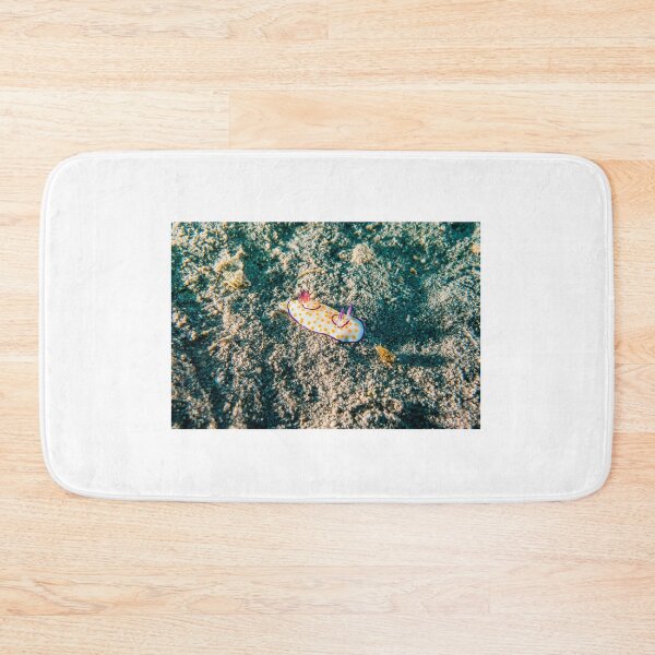 Item preview, Sea slug in the Red Sea Colorful and beautiful, Eilat Israel designed and sold by yeshayad.