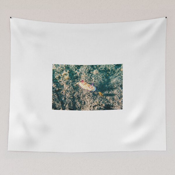 Item preview, Sea slug in the Red Sea Colorful and beautiful, Eilat Israel designed and sold by yeshayad.
