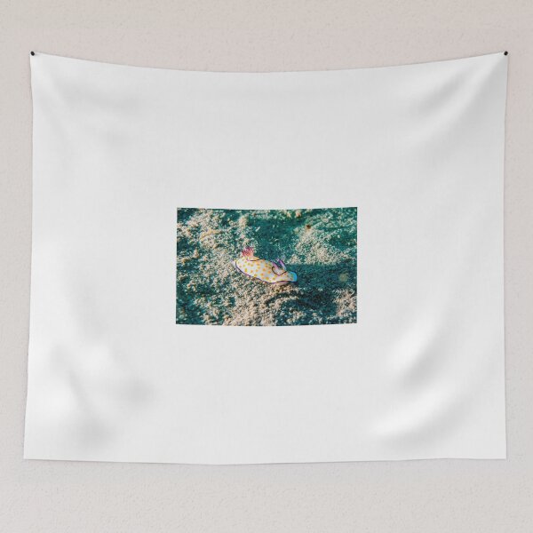 Item preview, Sea slug in the Red Sea Colorful and beautiful, Eilat Israel designed and sold by yeshayad.