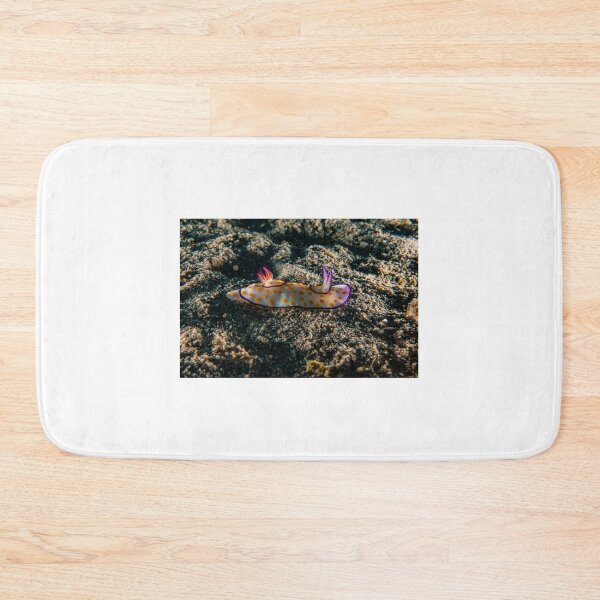 Item preview, Sea slug in the Red Sea Colorful and beautiful, Eilat Israel designed and sold by yeshayad.