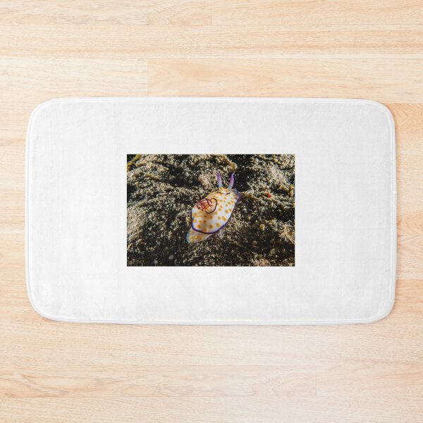 Item preview, Sea slug in the Red Sea Colorful and beautiful, Eilat Israel designed and sold by yeshayad.