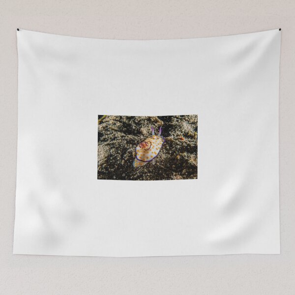 Item preview, Sea slug in the Red Sea Colorful and beautiful, Eilat Israel designed and sold by yeshayad.