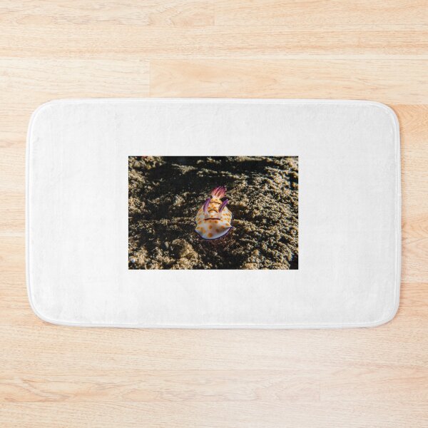 Item preview, Sea slug in the Red Sea Colorful and beautiful, Eilat Israel designed and sold by yeshayad.