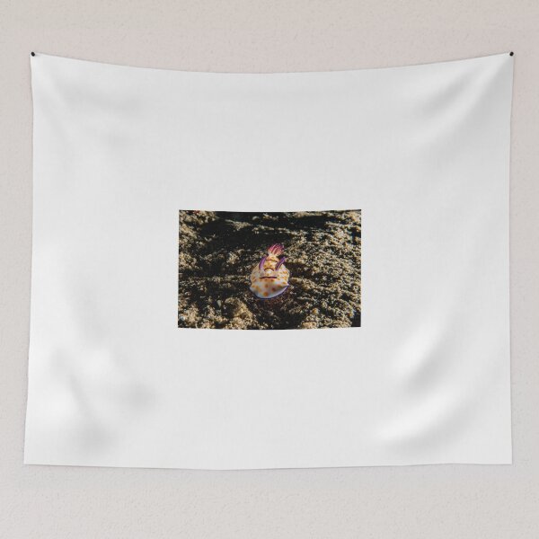 Item preview, Sea slug in the Red Sea Colorful and beautiful, Eilat Israel designed and sold by yeshayad.