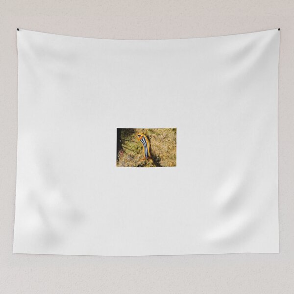 Item preview, Sea slug in the Red Sea Colorful and beautiful, Eilat Israel designed and sold by yeshayad.