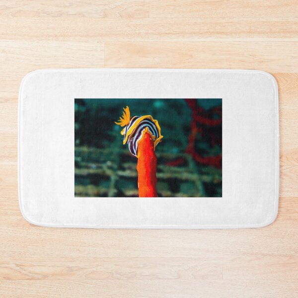 Item preview, Sea slug in the Red Sea Colorful and beautiful, Eilat Israel designed and sold by yeshayad.