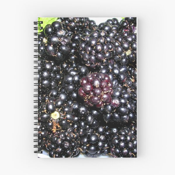 Item preview, Home Grown Blackberries designed and sold by lezvee.
