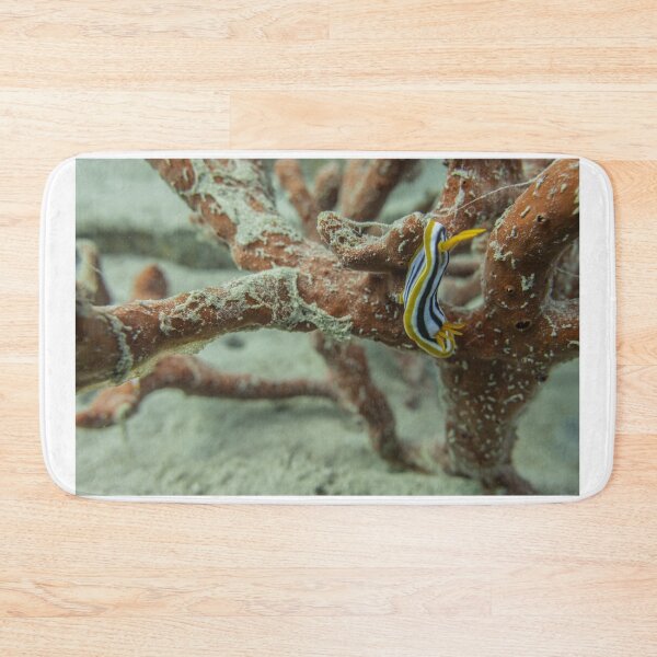 Item preview, Sea slug in the Red Sea Colorful and beautiful, Eilat Israel designed and sold by yeshayad.