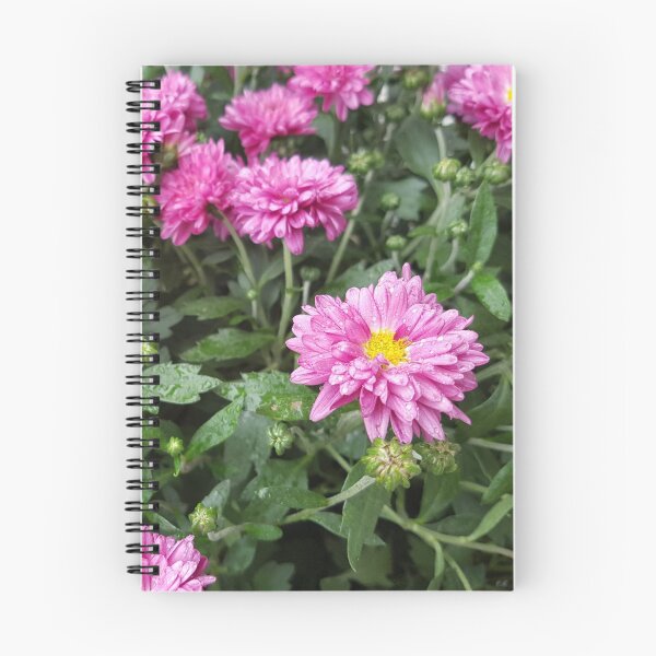 Item preview, Pink Chrysantemum squad pic designed and sold by verbosekoala.