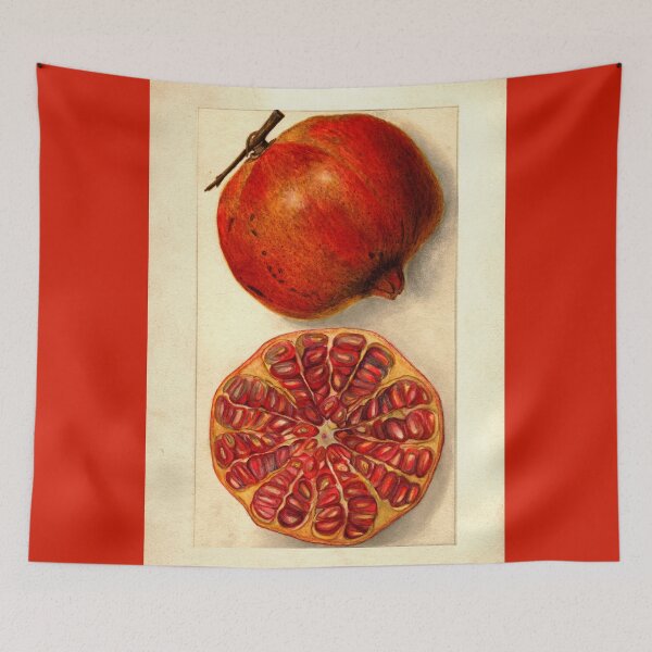 Item preview, Vintage Botanical Fruit Painting of a Pomegranate designed and sold by Glimmersmith.