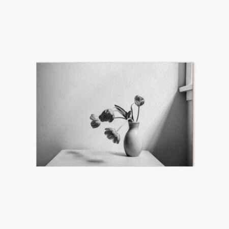 Wilting tulips by the window (black and white) Art Board Print