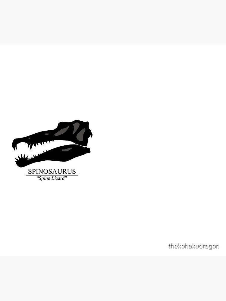 Spinosaurus Skull by thekohakudragon