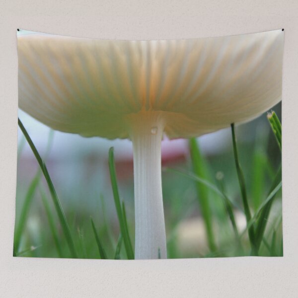 Item preview, Delicate Mushroom after the Rain designed and sold by Susie Kramer.