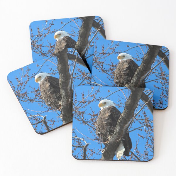 Item preview, Bald Eagle designed and sold by Susie Kramer.
