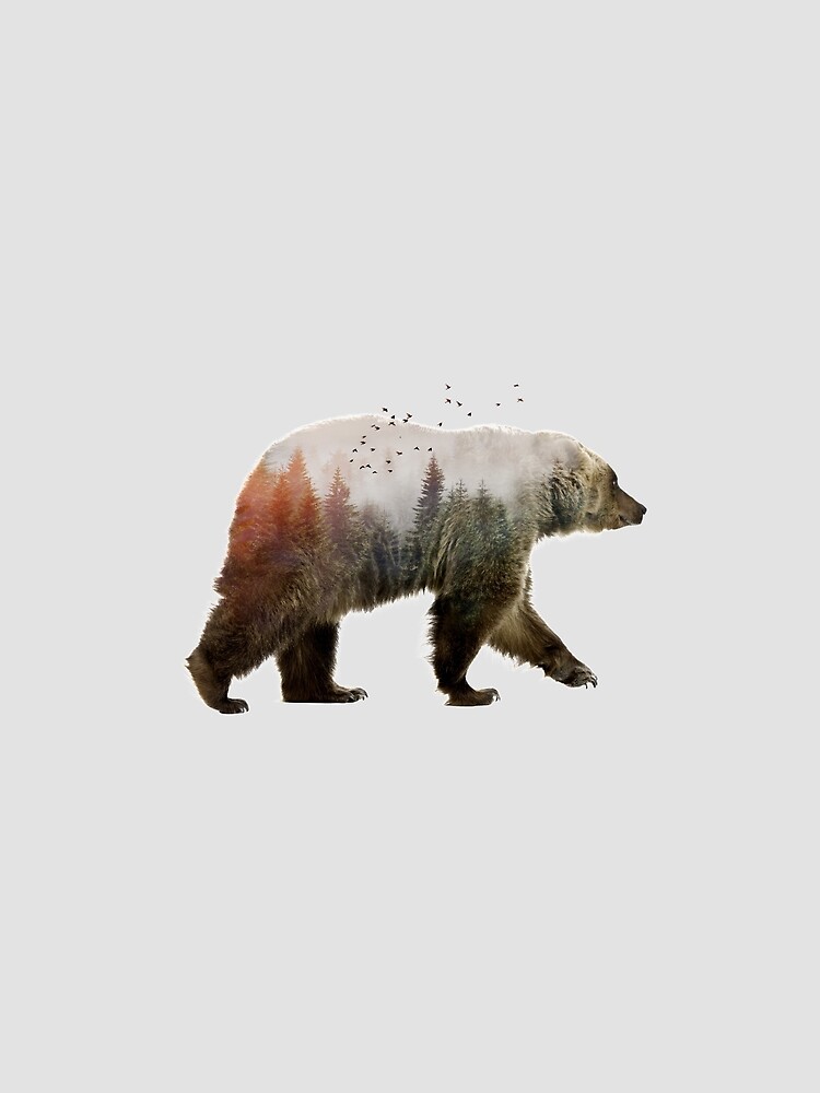 Bear by sokolselmani