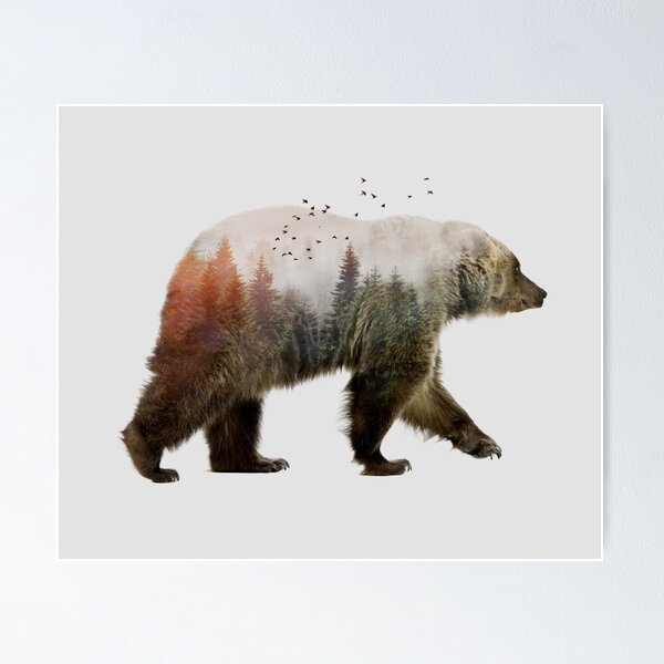 Item preview, Bear designed and sold by Sokol Selmani.