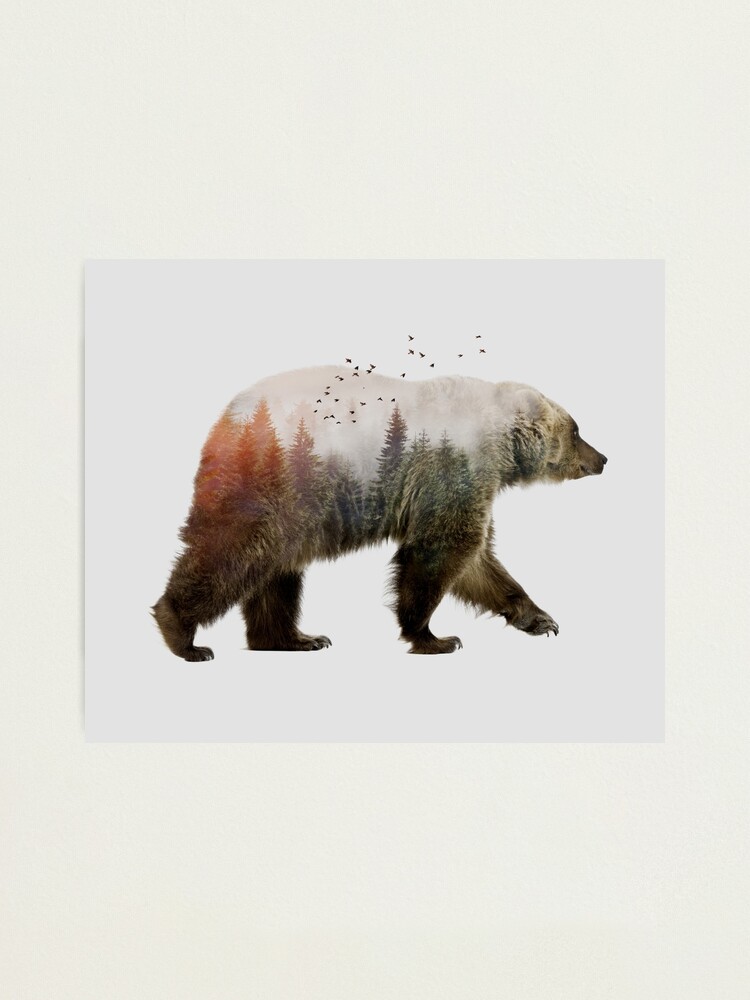 Alternate view of Bear Photographic Print