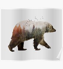 Bear Poster