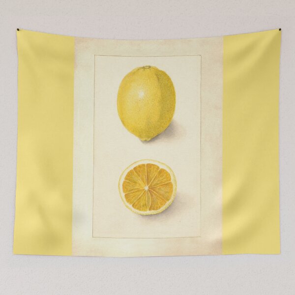 Item preview, Vintage Botanical Sport variety of Lemon Watercolor Fruit Painting designed and sold by Glimmersmith.