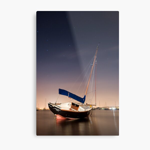 The Painted Lady Metal Print