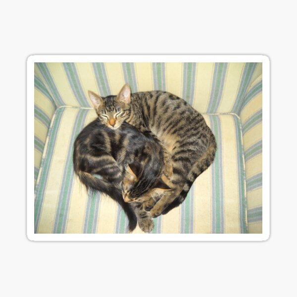Kitty Love - Sammy and Miri Sticker
