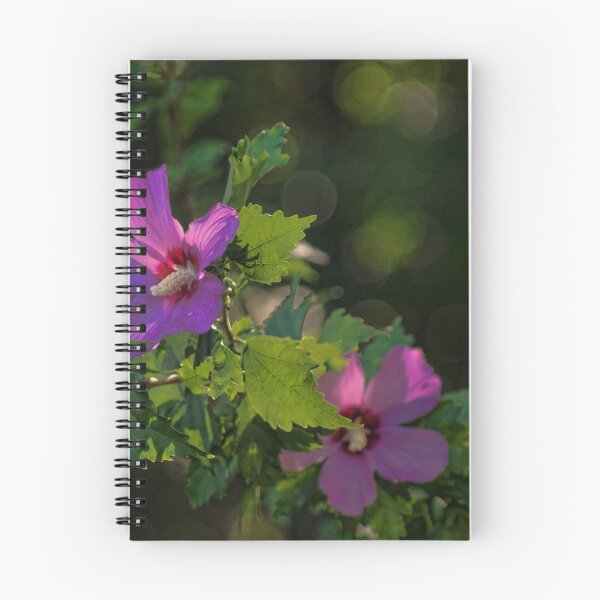 Item preview, Pink Rose of Sharon designed and sold by Rick  Friedle.