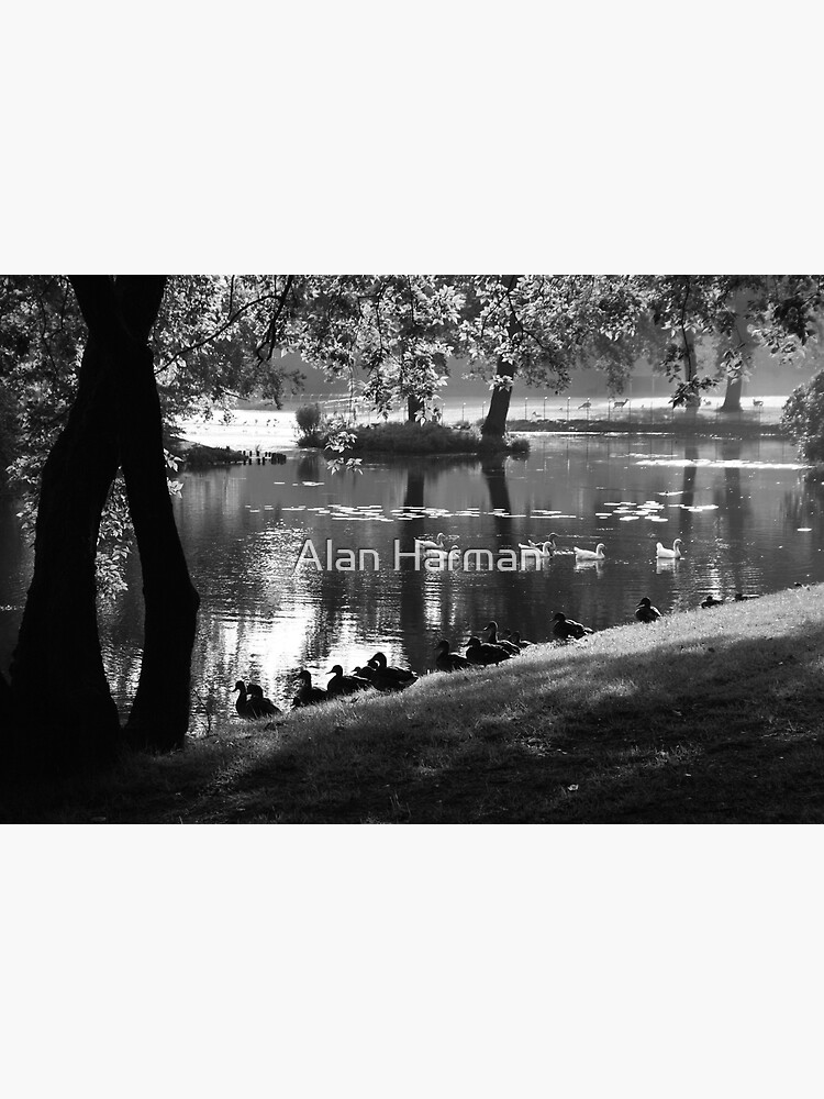 Park Life by AlanHarman