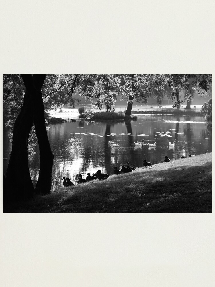 Alternate view of Park Life Photographic Print