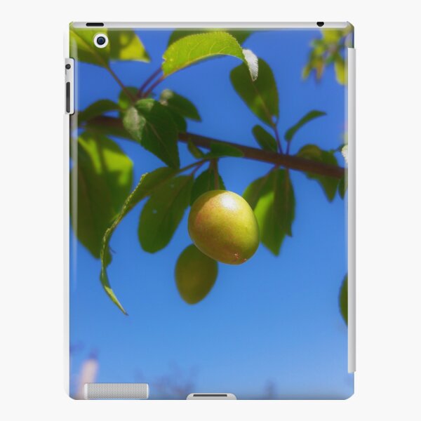 iPad Retina/3/2 - Snap