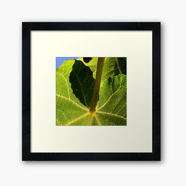 parasol vert Framed Art Print