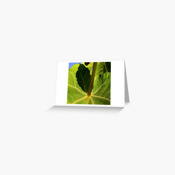 parasol vert Greeting Card