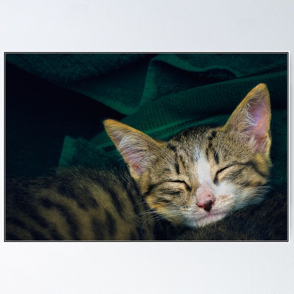 Item preview, Sleepy. designed and sold by Sime Jadresin.