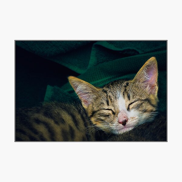 Item preview, Sleepy. designed and sold by Sime Jadresin.