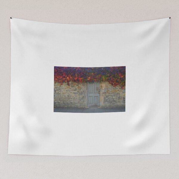 Item preview, Merton College Wall. Oxford, UK designed and sold by Igor Pozdnyakov.