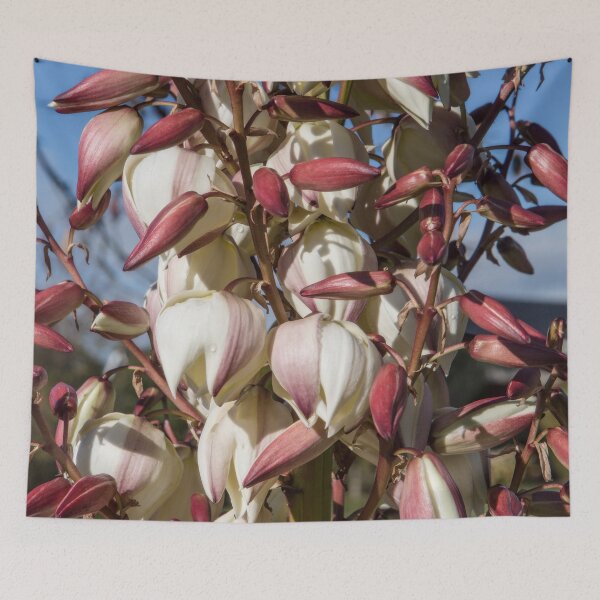 Item preview, Yucca in bloom designed and sold by Dave Hare Photography.
