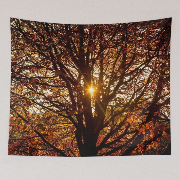 Item preview, Autumn Light. designed and sold by Dave Hare Photography.